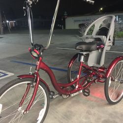 Custom Trike 