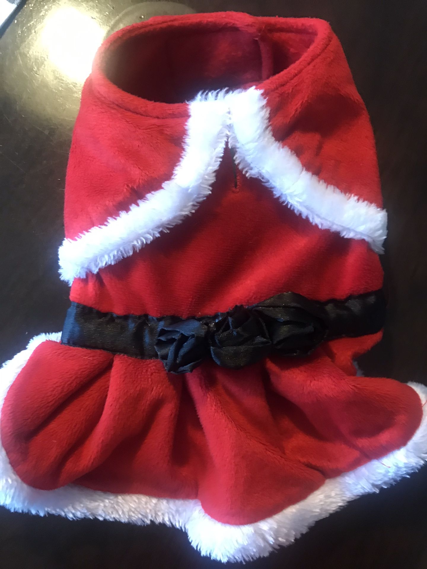 Dog Santa Outfit
