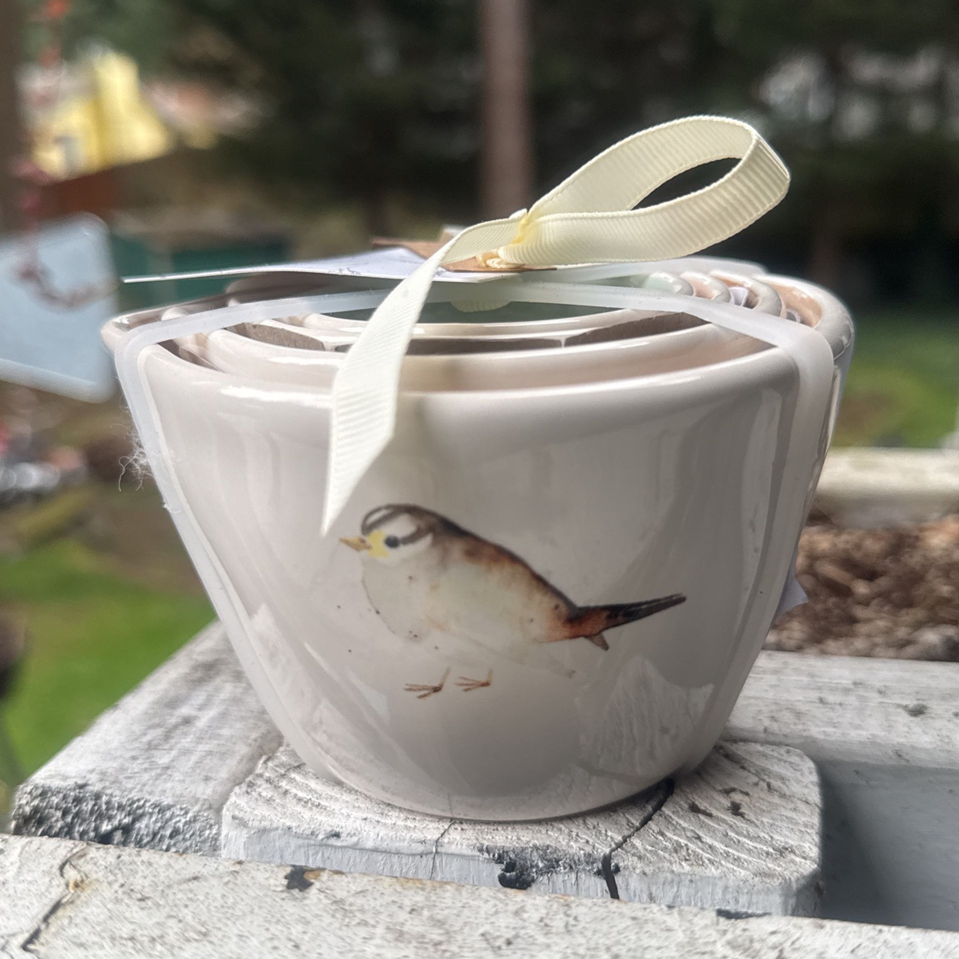 Rae Dunn Birds Measuring Cups