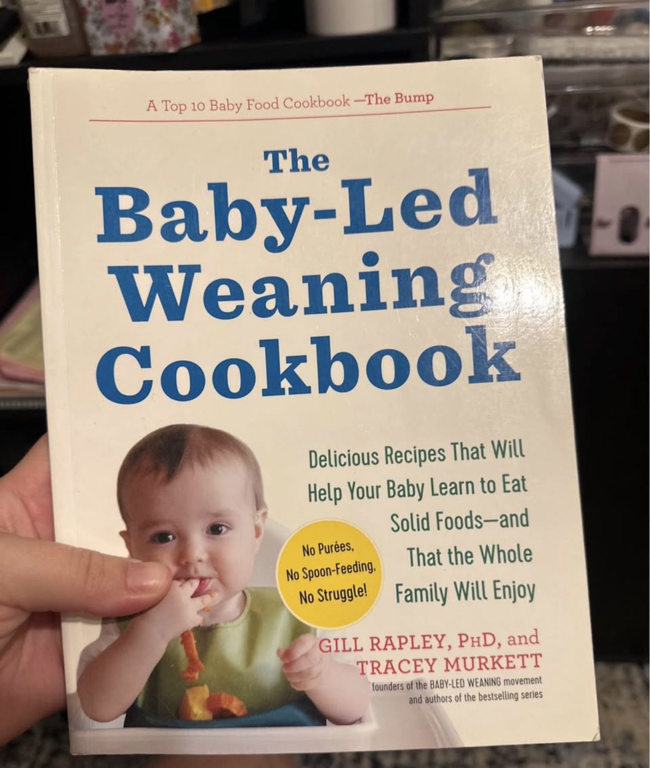 Baby led weaning cookbook