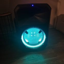 Ion 15 Inch Blue Tooth Speaker Boom Box