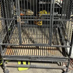 Bird Cage