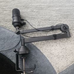 Microphone And Swivel Mount