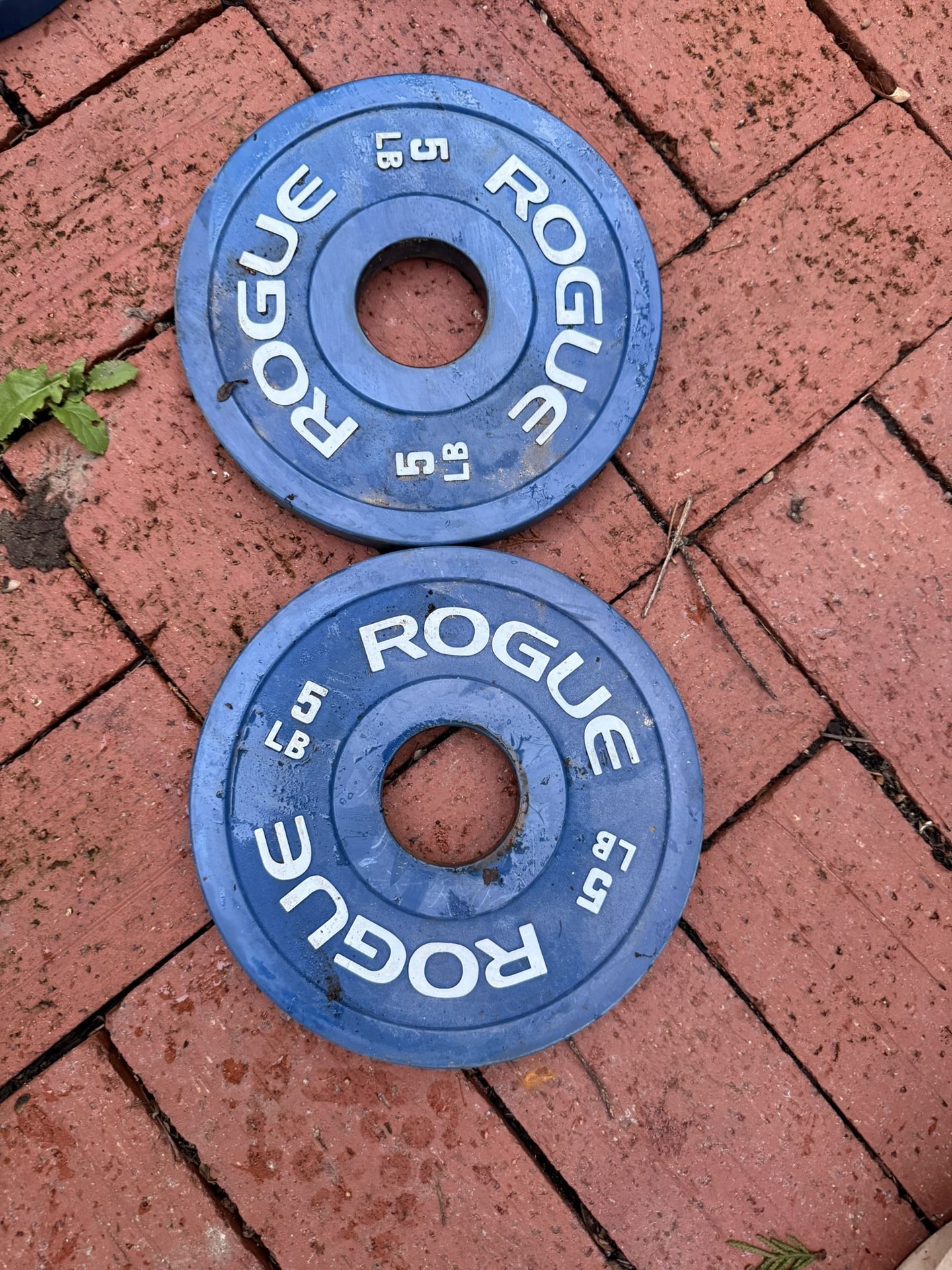 Rogue Fitness 5lb Change Plates 