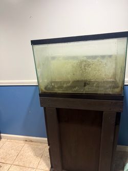 29 Gallon Tank + Stand