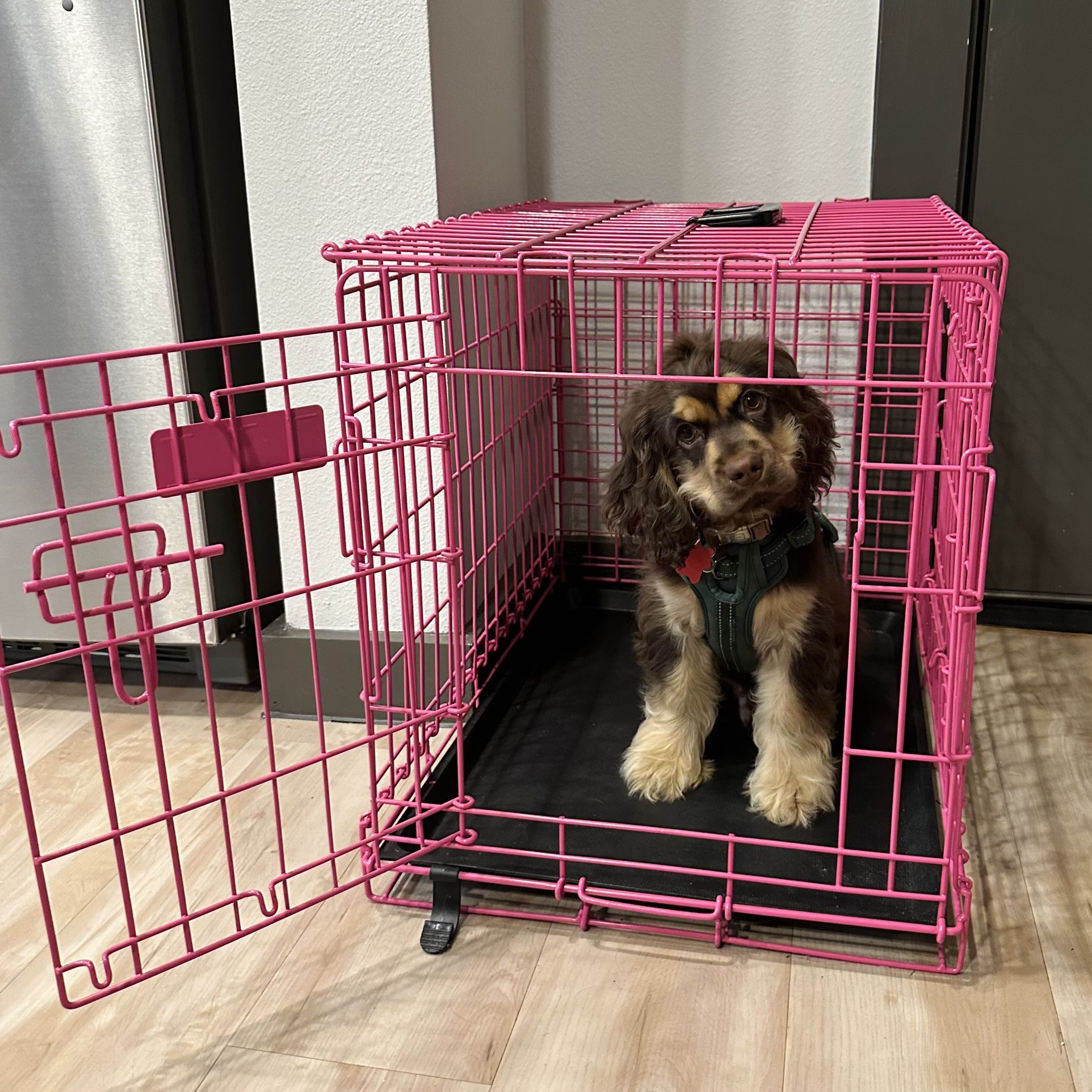 PETMATE WIRE DOG CRATE 🩷
