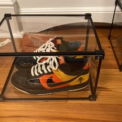 Nike Dunk Low SB Raygun 2005 Size 11