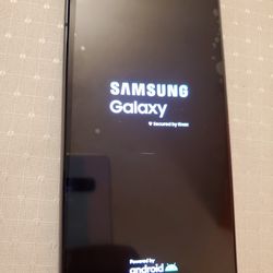 Samsung Galaxy S21 128 GB Unlocked