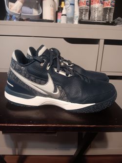 LEBRON NIKE ZOOM NXXT GEN