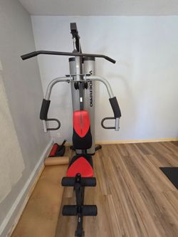 Weider back machine workout