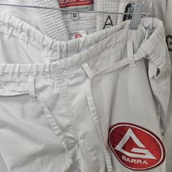 GI A3