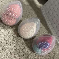 Sponges 