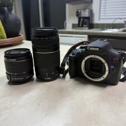Canon T7 Bundle
