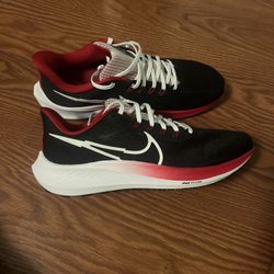 Nike Pegasus 39 Size 11 Brand New