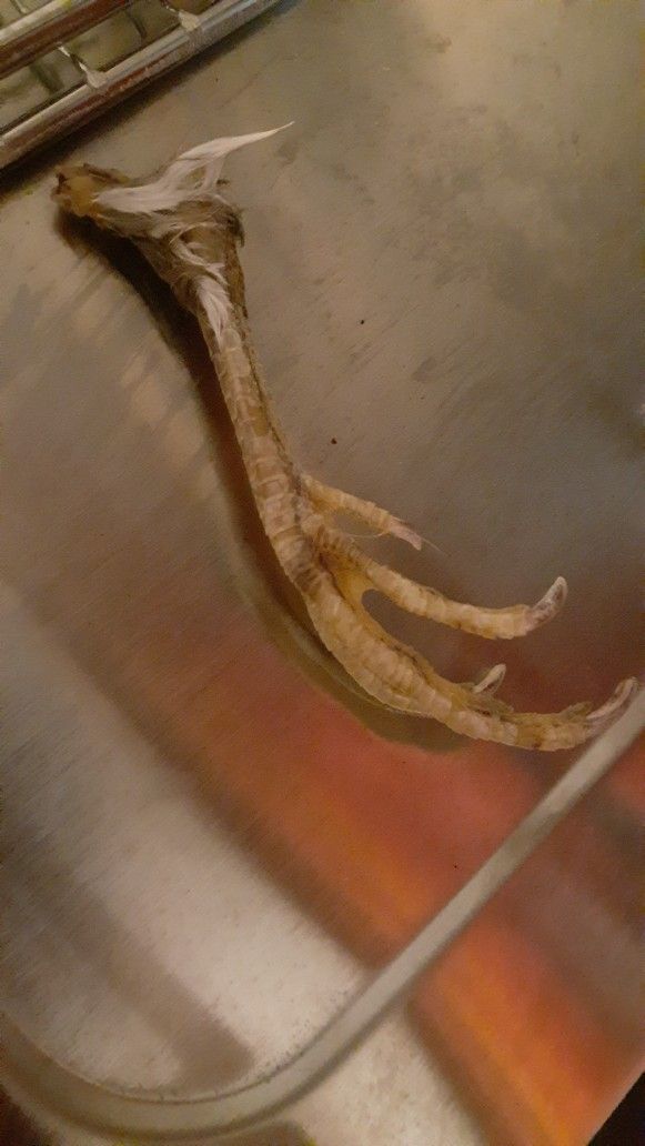 Dehydrated Quail Feet