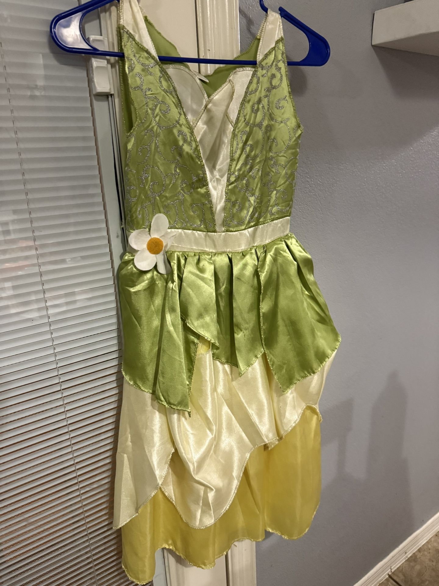 Disney Princess- Tiana Pretend Play Costume