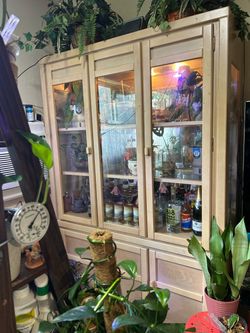 China Cabinet Used for Plants