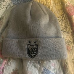 Grey Earthquakes Beanie From Store 
