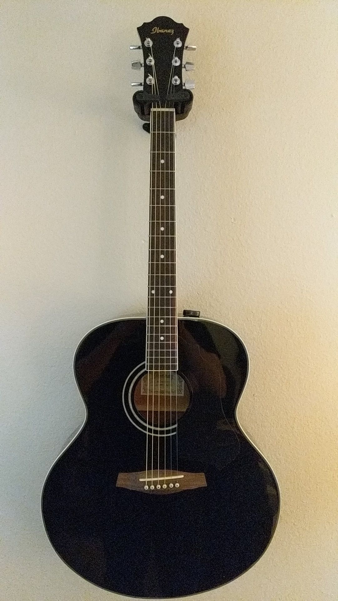 Ibanez Sage Series Acoustic Guitar w case