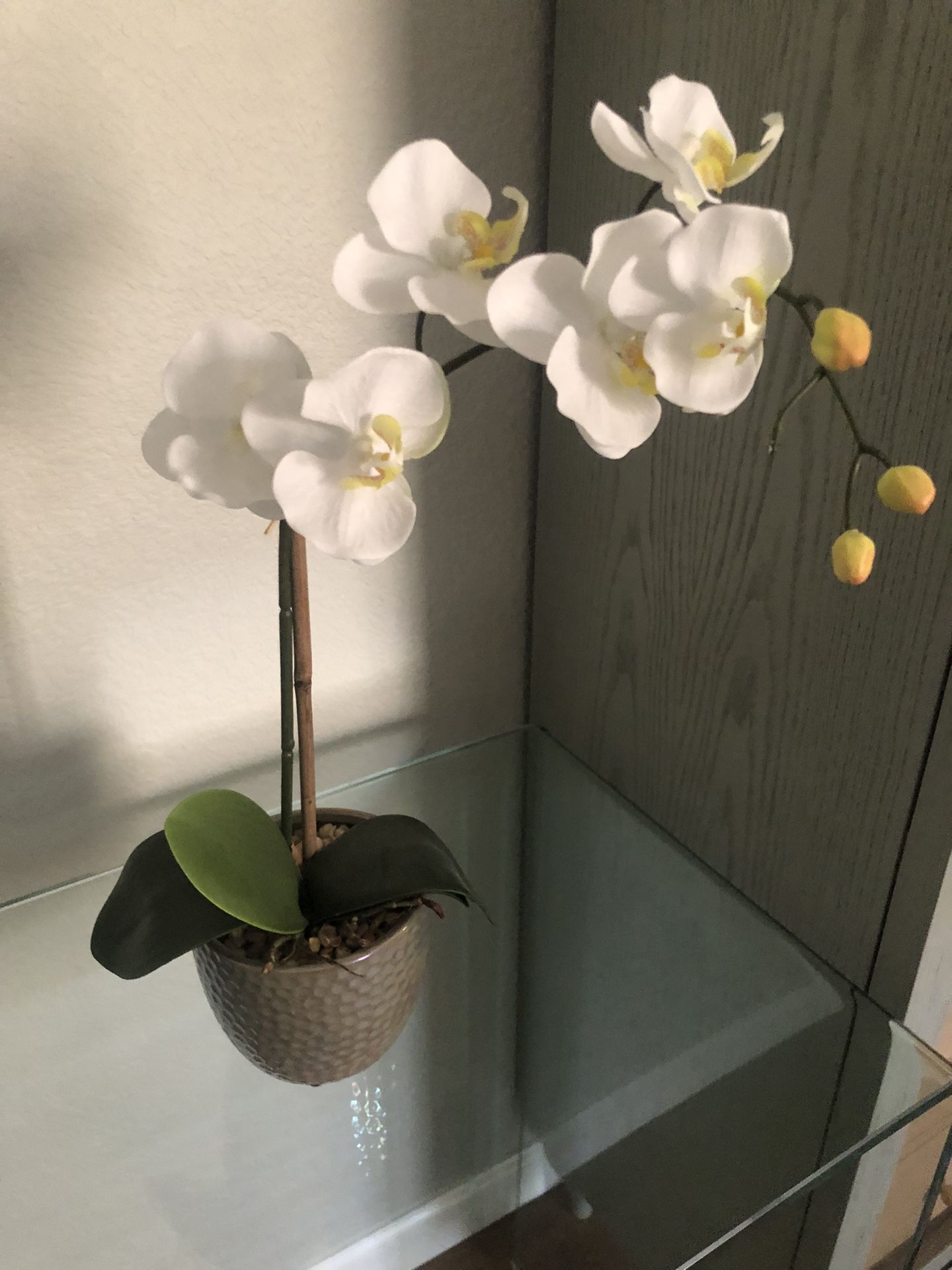 Fake Orchid Plant 