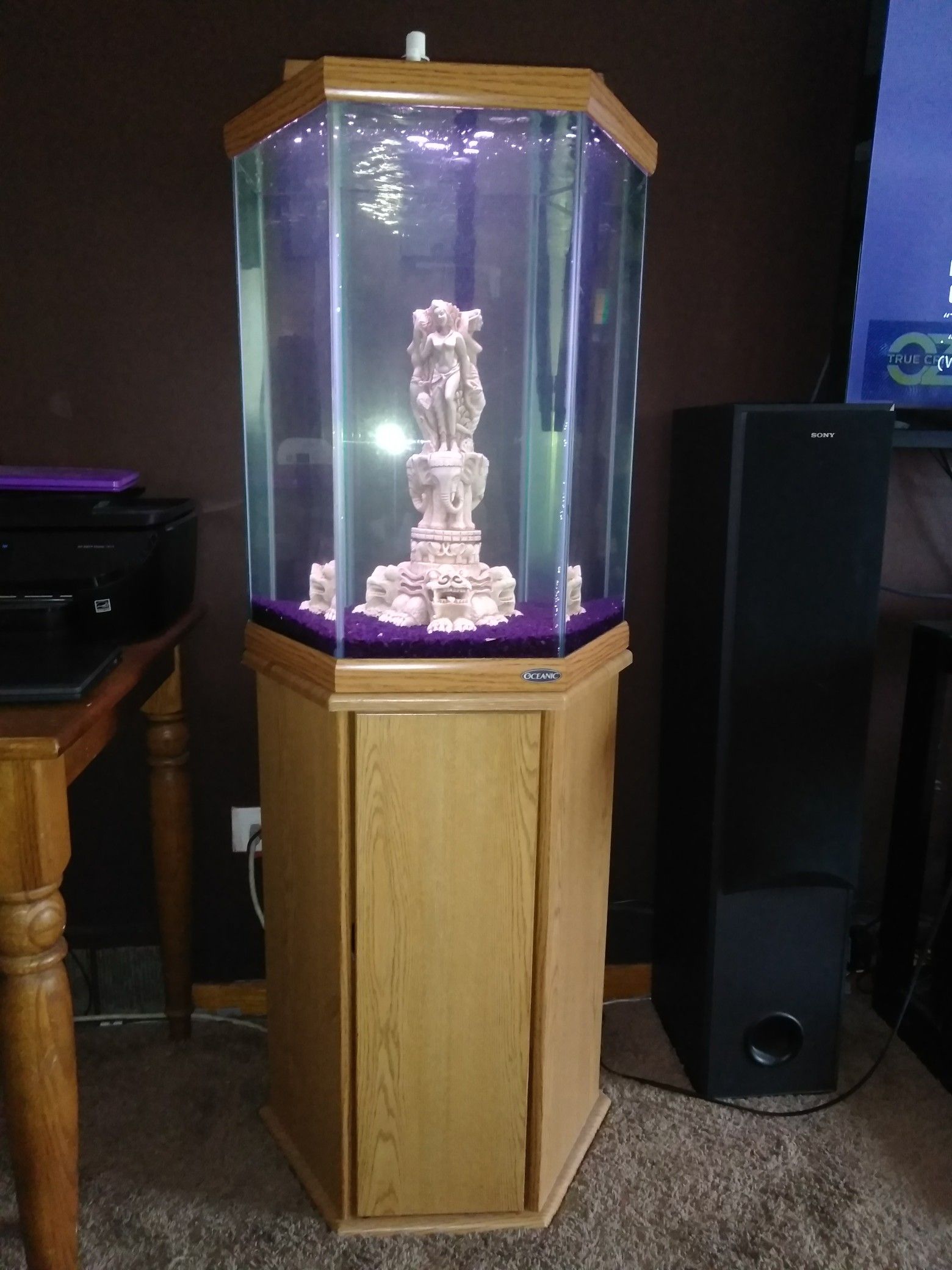 Like new 36Gal Oceanic Hexagon Aquarium / Fish Tank Excellent Condition ; Very Rare to find them this Clean