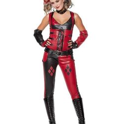 Harley Quinn Costume 