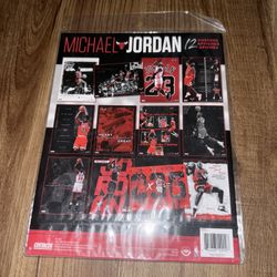 Micheal Jordan Posters