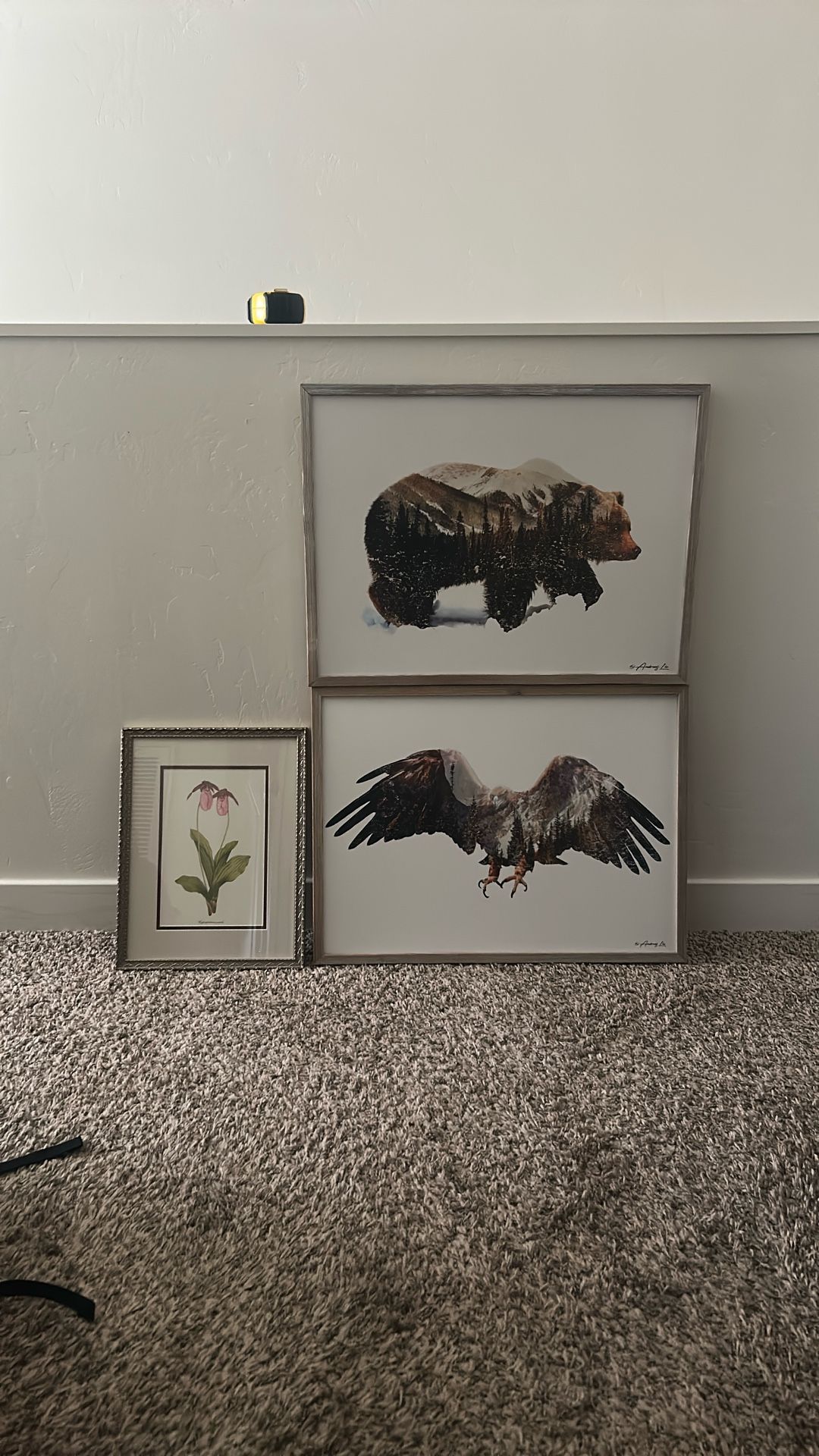 Decorative Wall Art Framed Bear Eagle And Flowers For Office Home Work Nature