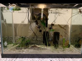 GREAT DEAL $80!! Betta Fish Tank Set Up!