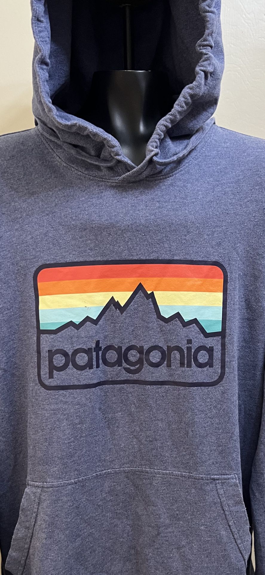 Patagonia Line Logo Badge Lightweight Hoodie Size Small