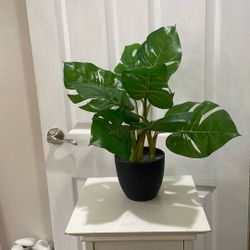 Artificial Plant 