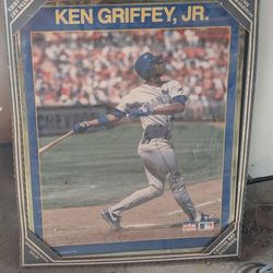 Ken Griffey Jr 