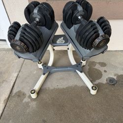 Nautilus adjustable weights 5-52.5lbs with stand 