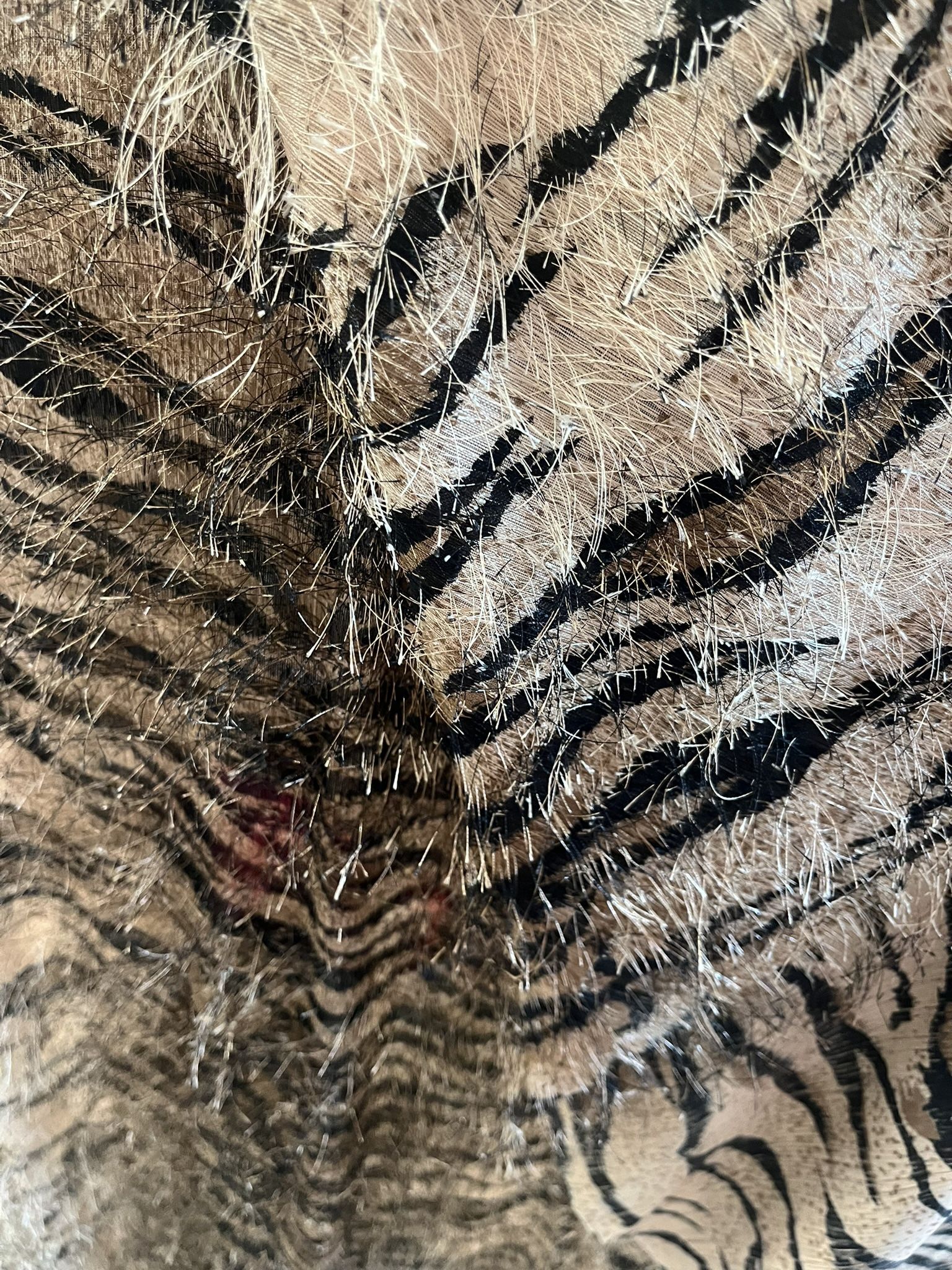 Animal Print Sheer Fabric Cut Yardage Remnant