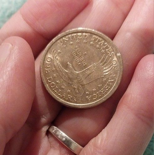 Coin Collection 2000 @ 1 Dollar Coin Pics Up Pick Up Only Fall River Ma Or Best Offer Thanks