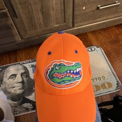 Gators Collegiate Cap