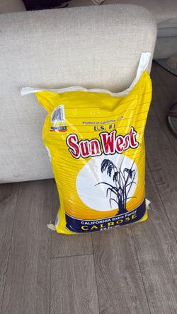 Rice