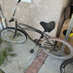 Beach Cruiser 