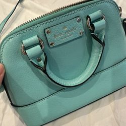 Mini Teal cross Body Purse 