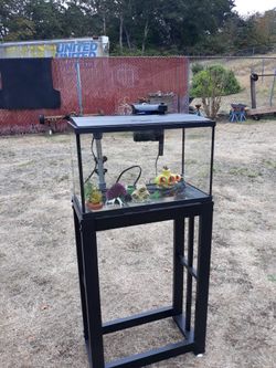 Fish Tank And Nice Metal Stand