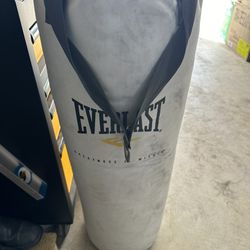 Punching Bag