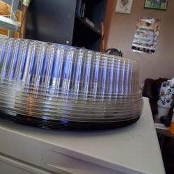 Serving Trays