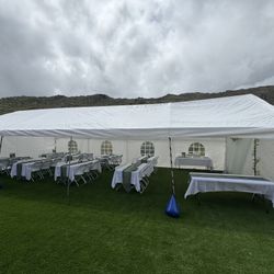 Canopy Carpa Tent