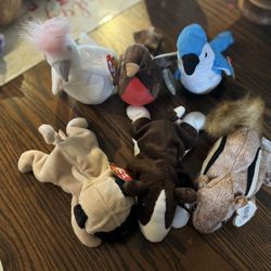 Ty beanie babies lot