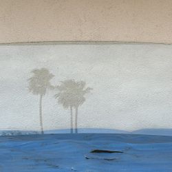 1964-67 Chevy Chevelle Rear Window Back Glass 2/4 Door Sedan GTO Tempest OEM