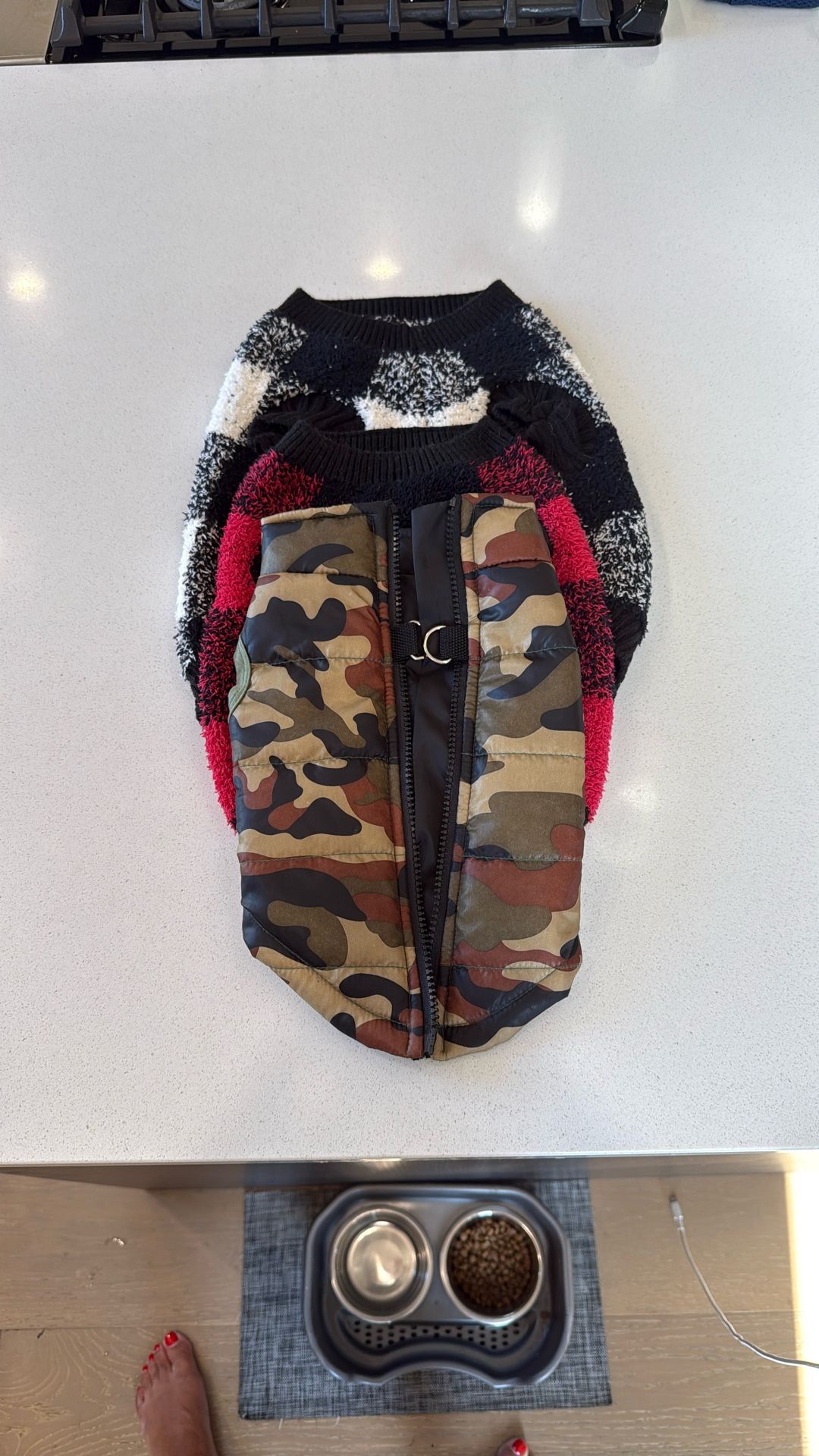 S/M Dog Jacket and Sweaters