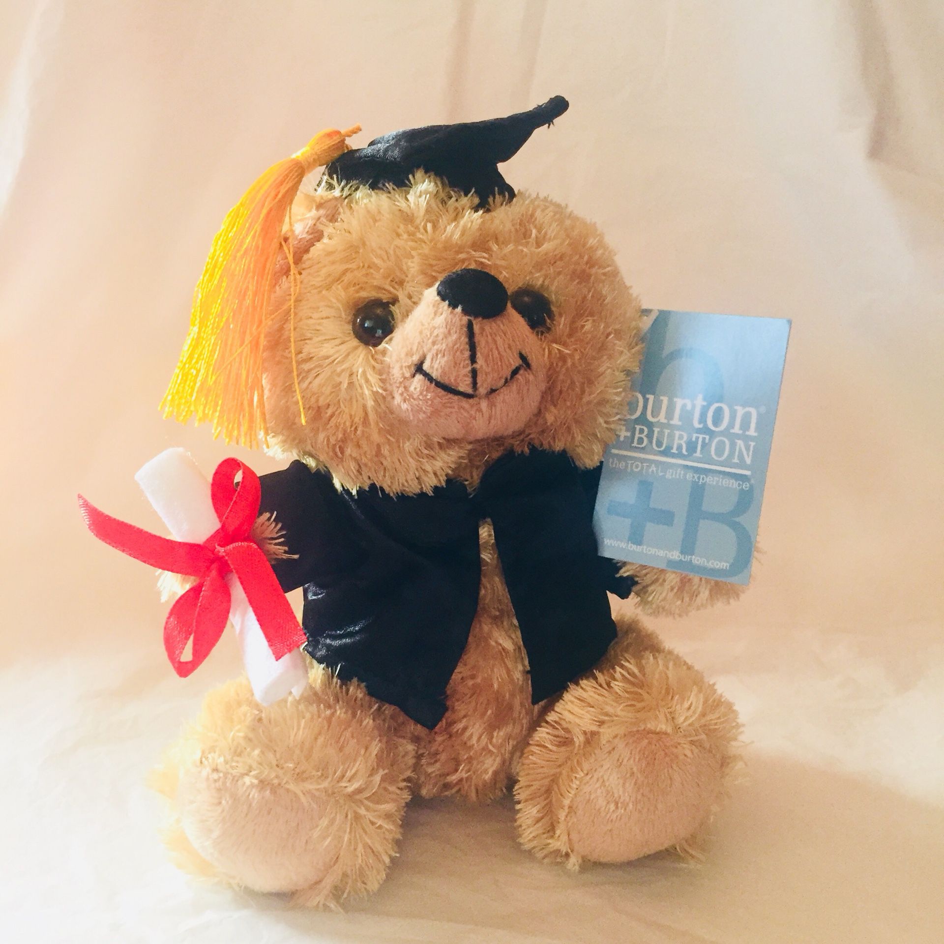 Graduation Plush Bear (Black)