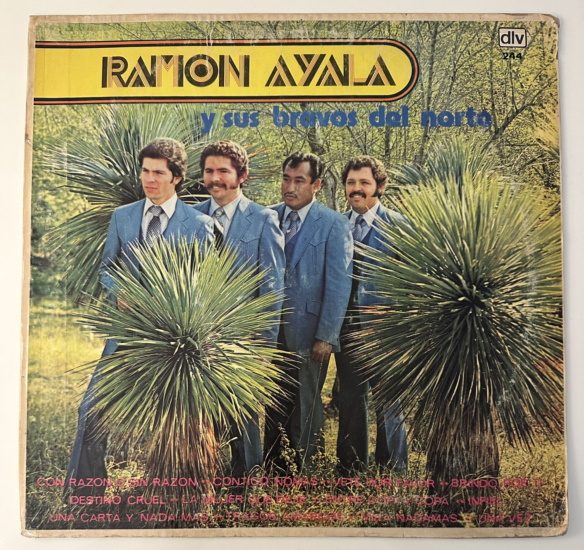 Ramon Ayala y Sus Bravos Del Norte - Tragos Amargos