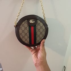 Brand New Designer Bag.  Never Used 85 Dollars 