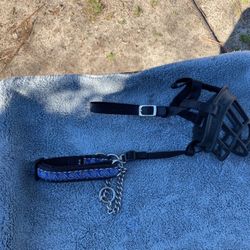 Mosul and training collar